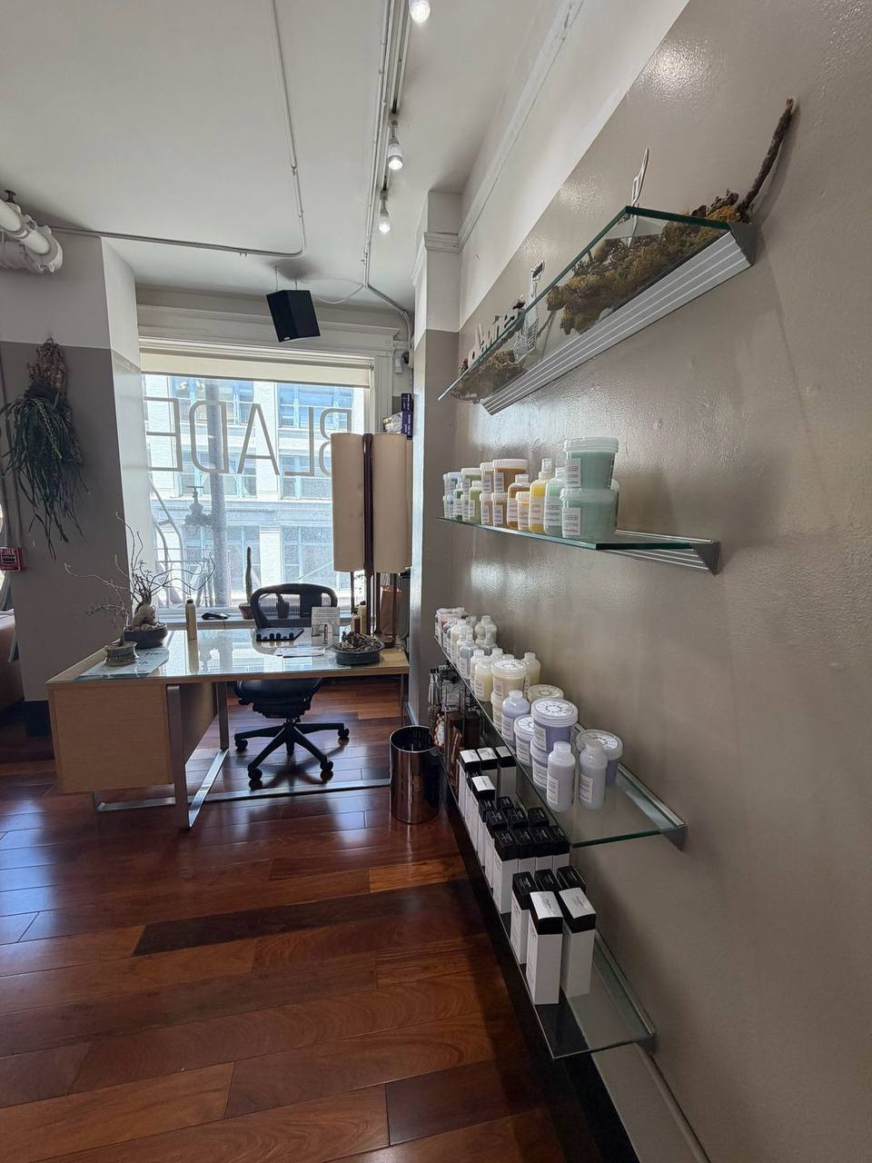 Bright salon interior where Olena sees clients